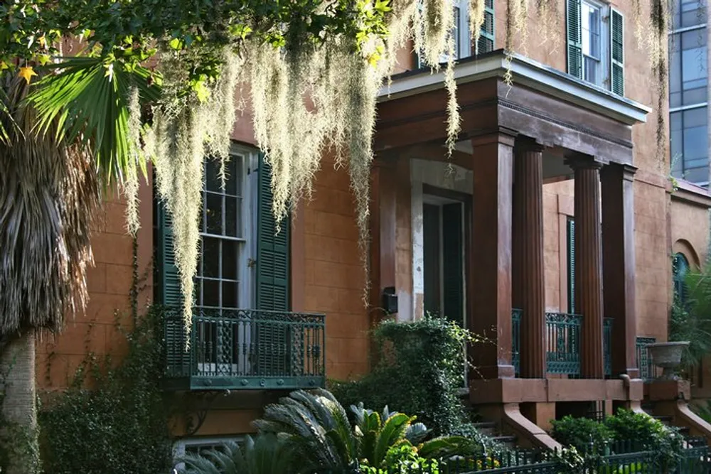 The image shows a historical building with Spanish moss hanging from a tree classic green shutters ironwork balconies and surrounded by lush greenery evoking a sense of Southern charm and history