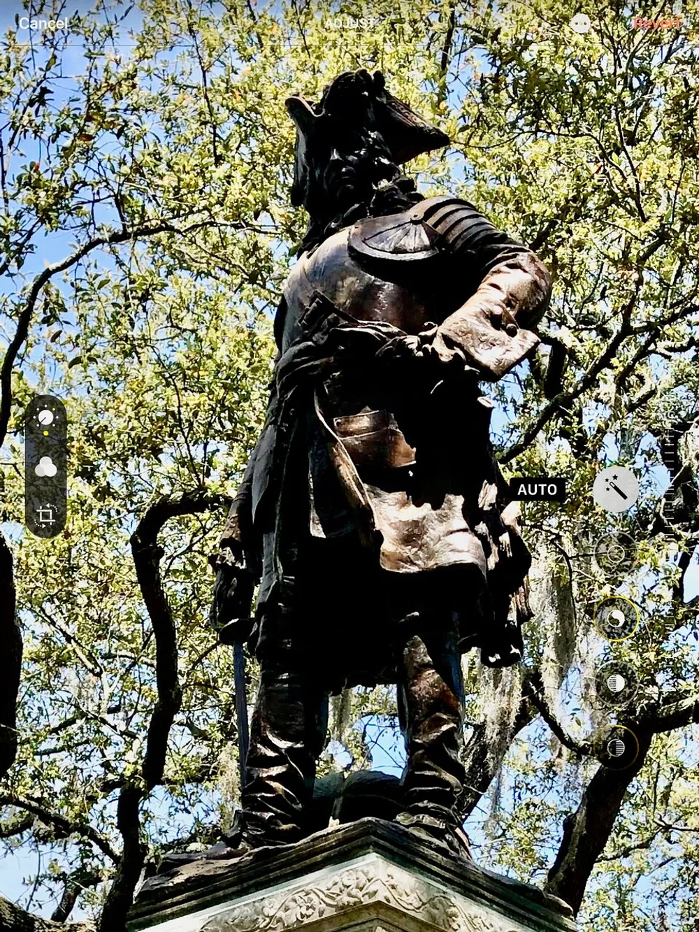 This image shows a statue of a historical figure on a pedestal with a partial view of the camera interface overlay indicating that the photo may have been taken accidentally while trying to adjust the camera settings