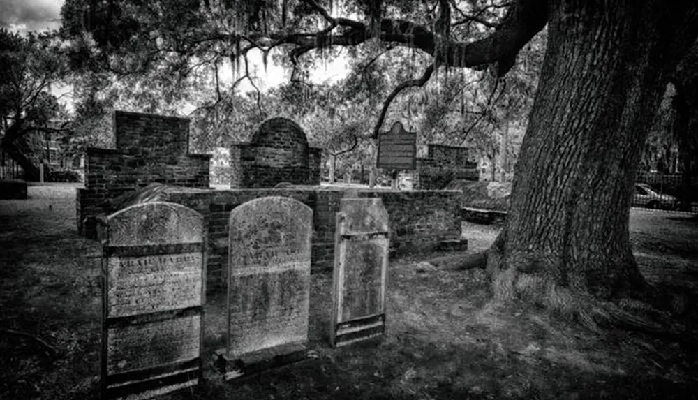 The image shows a serene black and white scene of an old graveyard with weathered tombstones overgrown trees and aged brick structures giving it a somber and historical ambiance