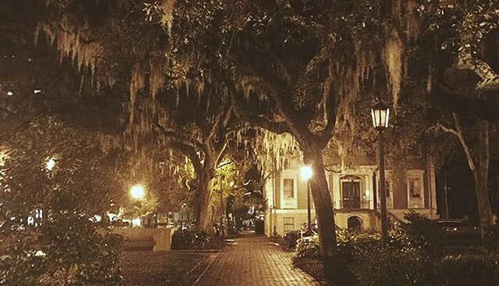 An evening scene of a tree-lined pathway illuminated by street lamps casting a warm glow amid the hanging Spanish moss