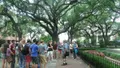 The Savannah Stroll Photo