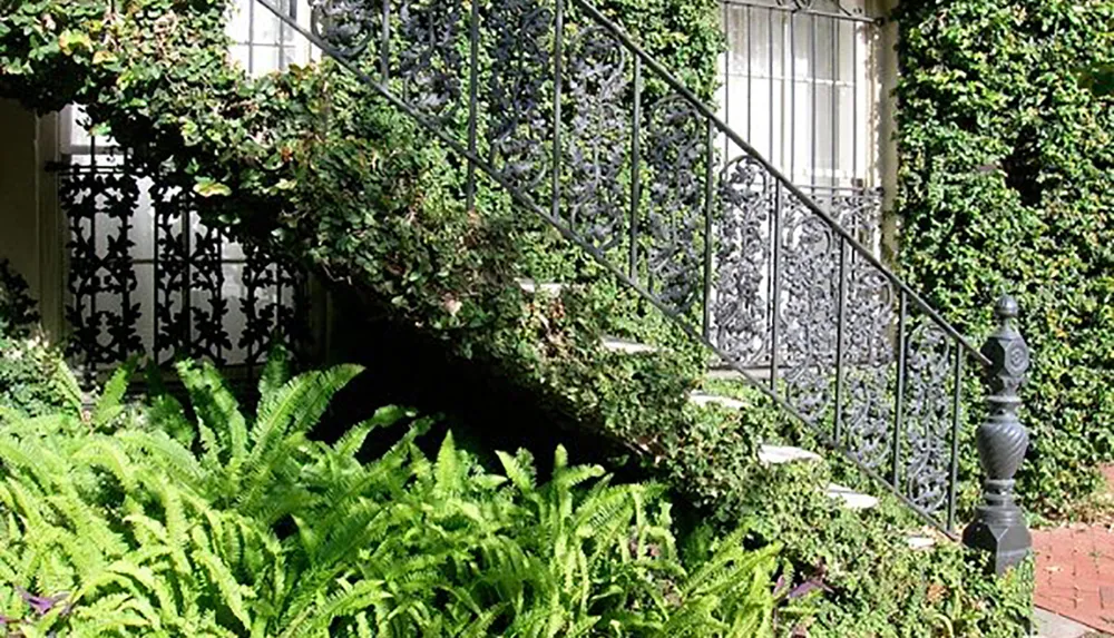 An ornate iron staircase railing entwined with lush ivy stands above vibrant ferns in a garden setting