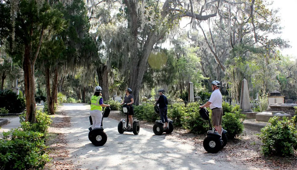 Four people wearing helmets are riding Segways through a scenic path shaded by trees with hanging moss