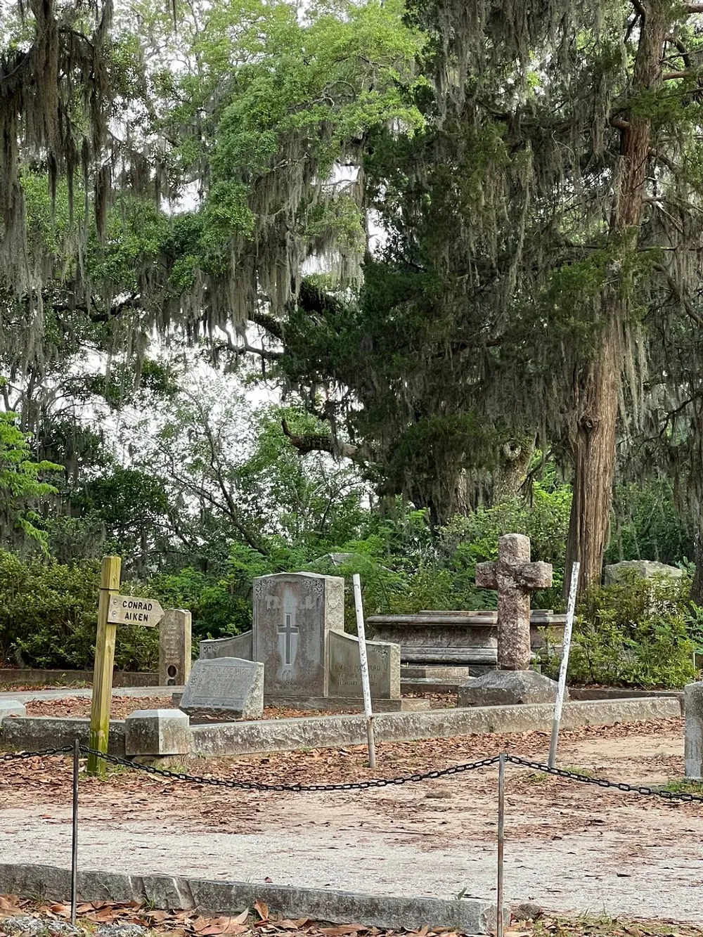The image shows a serene cemetery setting with moss-draped trees and weathered grave markers including crosses and a bench-style tombstone