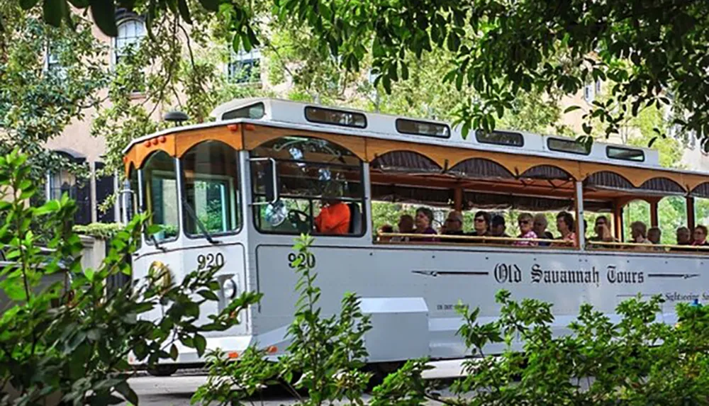 A trolley bus filled with tourists is navigating through a lush tree-lined street as part of an Old Savannah Tours sightseeing experience