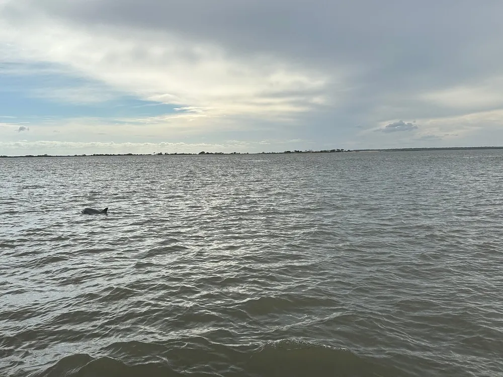 The picture shows a calm body of water with a dolphin fin visible near the surface under a sky with a mix of clouds