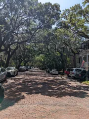A sun-dappled, brick-paved street is lined with parked cars and shaded by large, sprawling trees draped in Spanish moss, evoking the charm of a historic neighborhood.