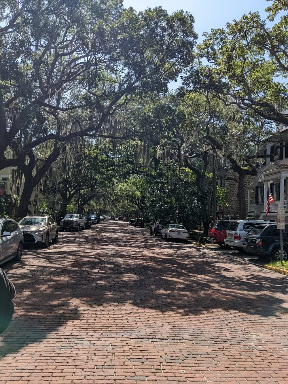 A sun-dappled brick-paved street is lined with parked cars and shaded by large sprawling trees draped in Spanish moss evoking the charm of a historic neighborhood