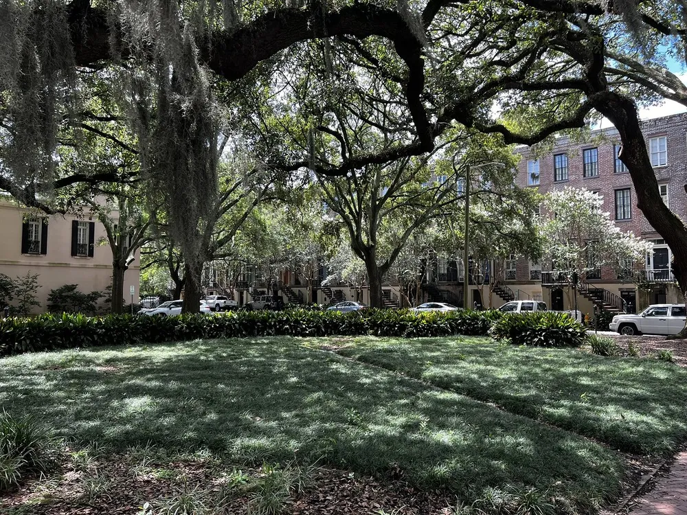 The image shows a tranquil urban park with sprawling trees draped in Spanish moss casting dappled shadows on the lush grass with a backdrop of classic residential buildings