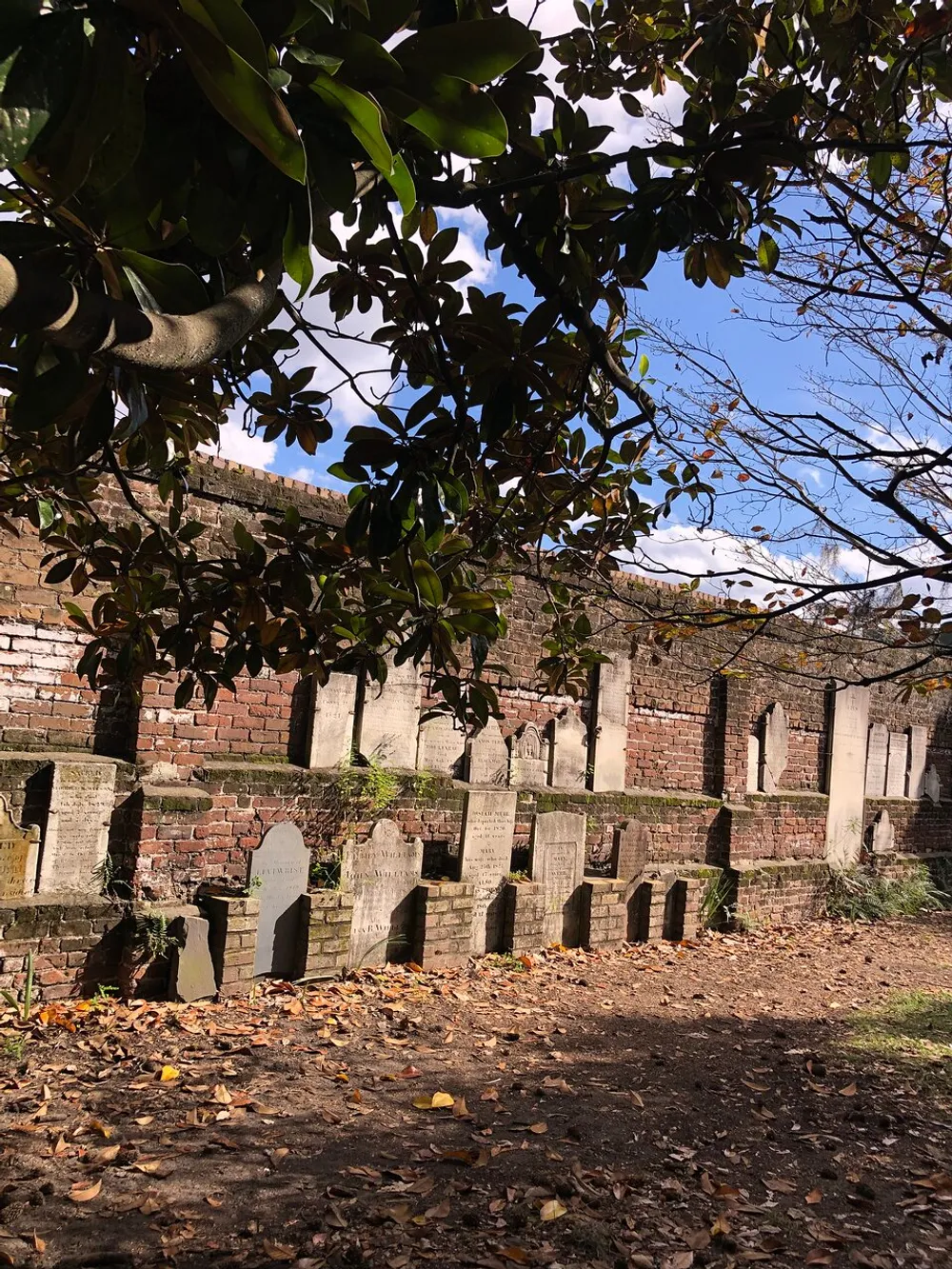 The image shows an old peaceful cemetery with weathered headstones aligned against a brick wall partly shaded by green foliage with fallen leaves scattered on the ground