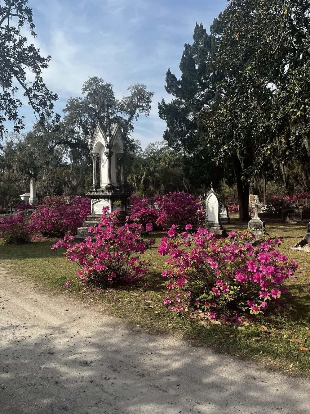 The image depicts a serene cemetery adorned with bright pink flowers and Spanish moss-draped trees under a clear sky