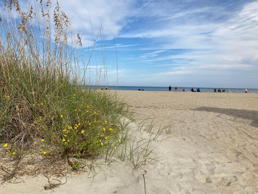 A tranquil beach scene with people relaxing by the ocean and dune grass in the foreground