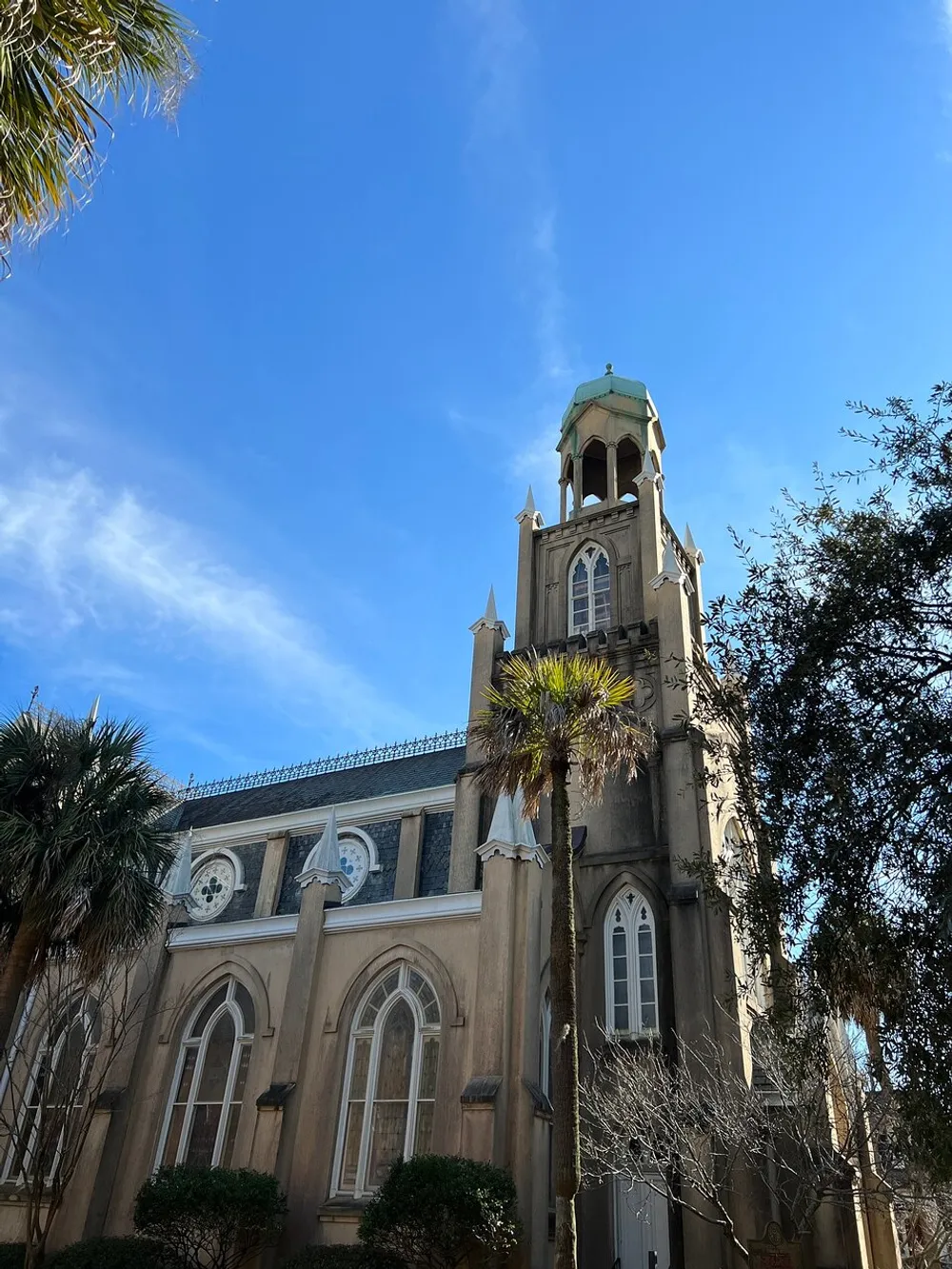 The image shows a tall historic-looking church with gothic architectural elements framed by palm trees against a clear blue sky
