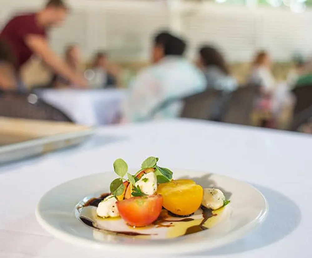 A plated gourmet salad is in focus in the foreground with a blurred scene of restaurant patrons and a waiter in the background