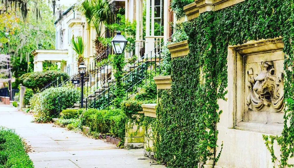 This is a charming urban street scene showcasing a row of elegant buildings with iron-wrought staircase railings and walls adorned with ivy and sculptural decorations evoking a sense of historic luxury