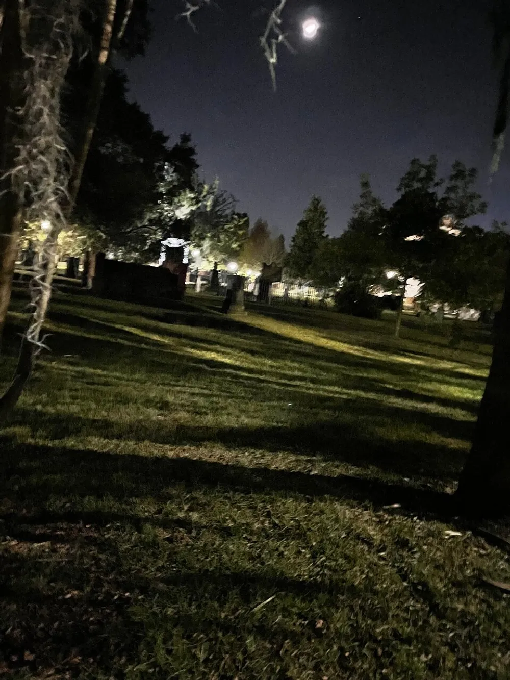 The image depicts a dimly lit park at night with the moon shining above and elongated shadows cast on the grass by surrounding trees