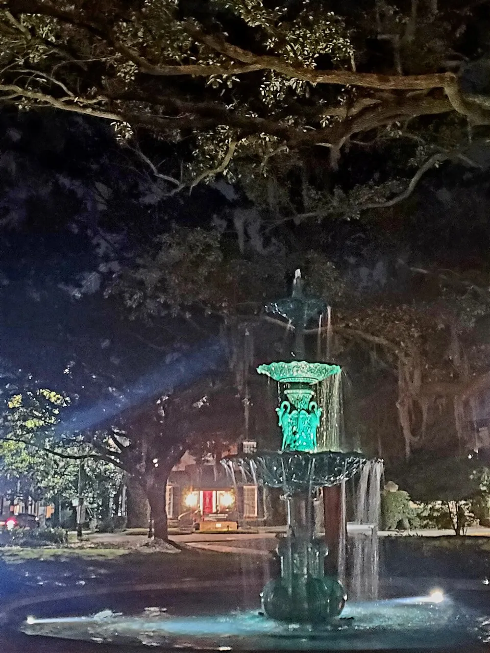 An illuminated fountain stands at night under the sprawling branches of a tree with a residential house visible in the background