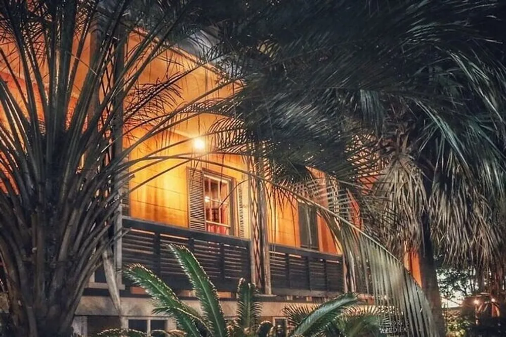 The image shows a warmly lit facade of a building at night partially obscured by the fronds of palm trees in the foreground