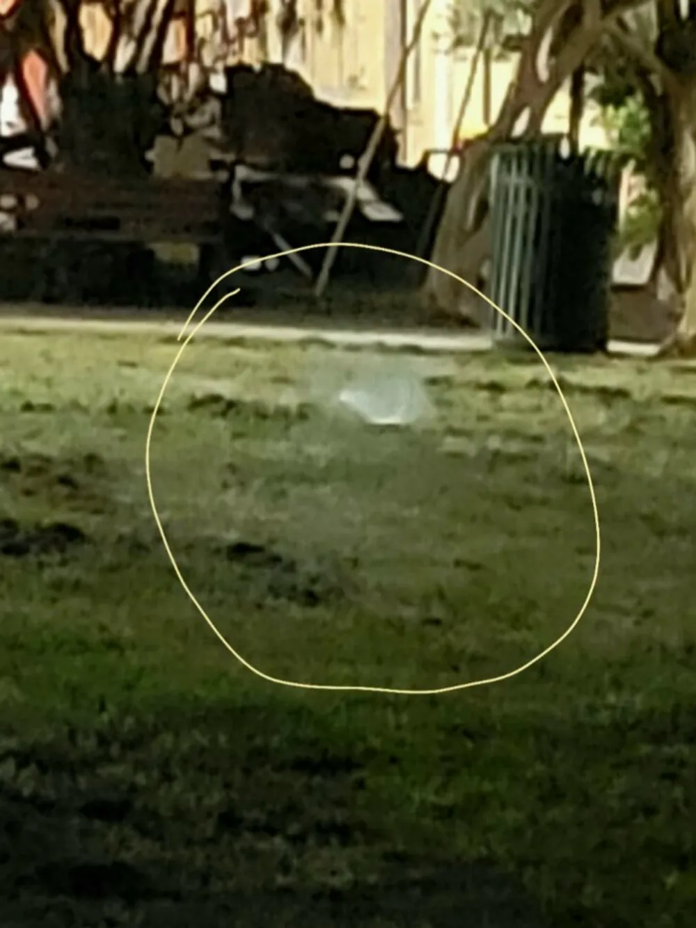 The image shows a blurry outdoor scene with a grassy area encircled in yellow possibly highlighting an anomaly or point of interest