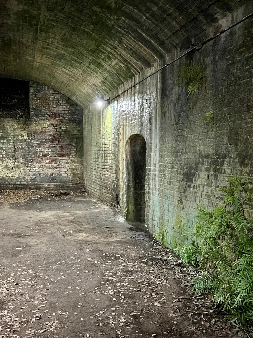 The image shows a dimly lit tunnel with a curved ceiling an arched doorway on the right wall and some green foliage growing from the brickwork