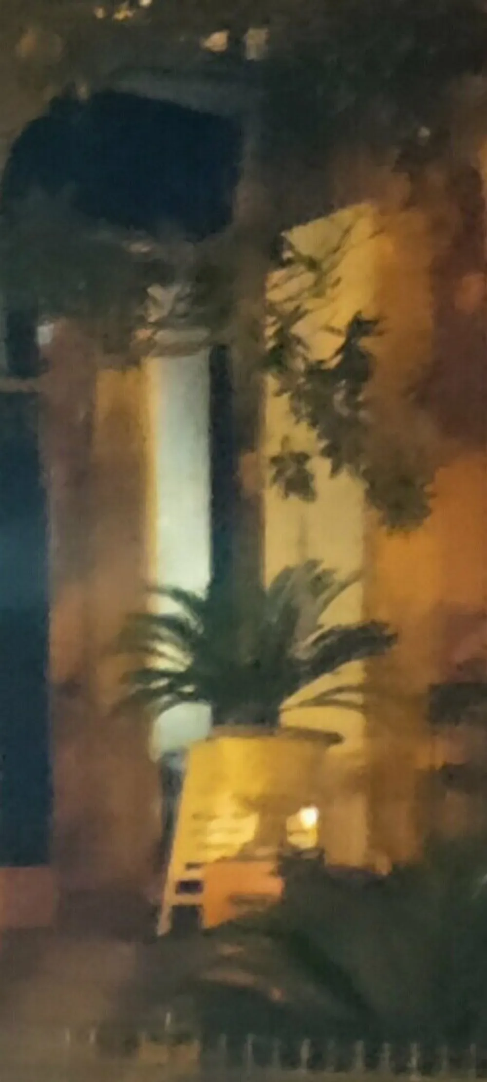 The image shows a blurry nighttime scene with palm trees and a building possibly illuminated by street lighting or adjacent lights creating a somewhat mysterious ambiance