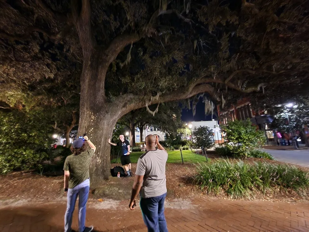 A group of people is gathered under a large tree with Spanish moss at night with some taking photographs and others just walking by