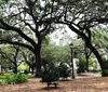 The image depicts a serene park with sprawling oak trees and Spanish moss with a statue on a pedestal in the background and a walking path surrounded by lush greenery