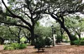 Welcome to Savannah, it's Everything in One Tour! Photo