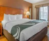 The image shows a neatly made hotel room with a large bed decorative pillows a patterned carpet an exercise bike and a warm inviting decor