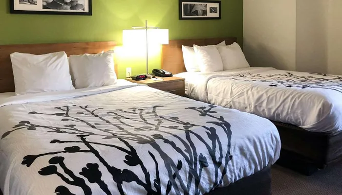 The image shows a hotel room with two queen-sized beds featuring white bedding with a black tree branch pattern a nightstand with a lamp and phone between the beds and a green accent wall with framed artwork