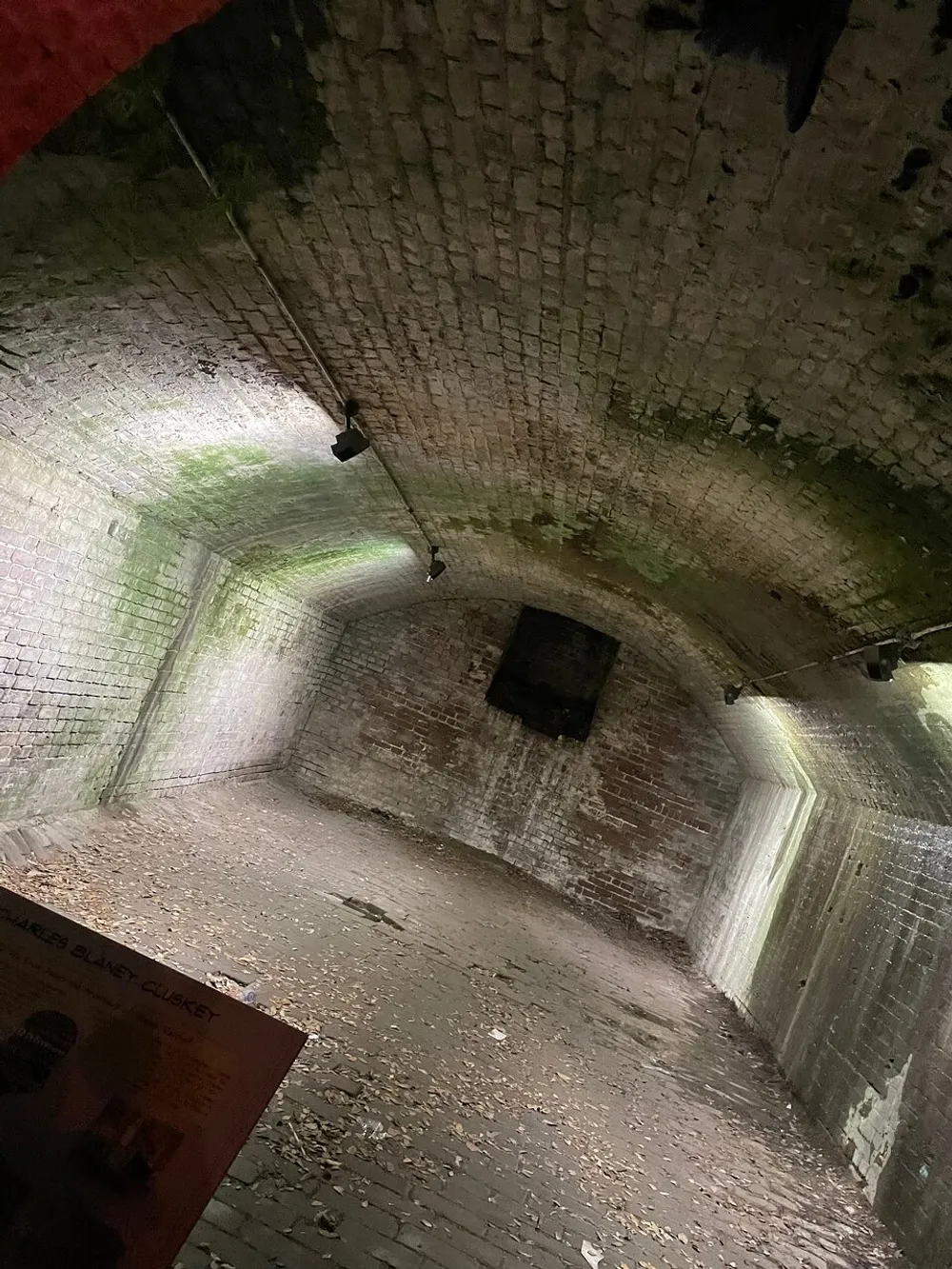 The image shows a dimly-lit arched brick underpass or tunnel with some vegetation on the ceiling light fixtures hanging down a small window or opening on the far wall and some debris on the ground