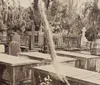 The image shows a serene old cemetery with various tombstones and mausoleums draped with Spanish moss under a light-dappled canopy