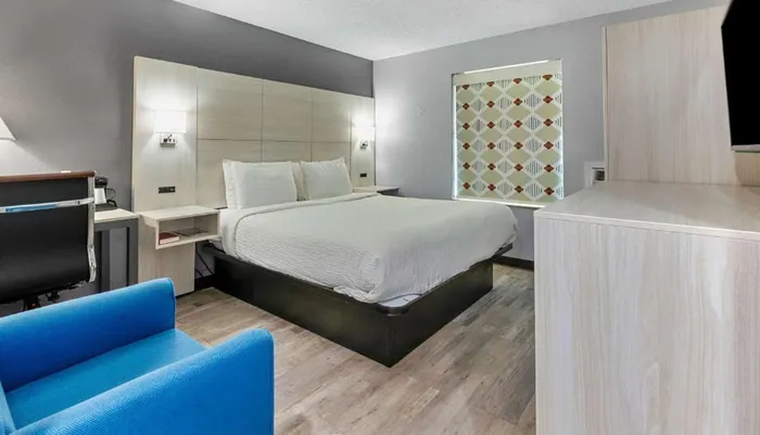 This is a modern hotel room with a large bed minimalist furniture a blue armchair and a patterned accent wall