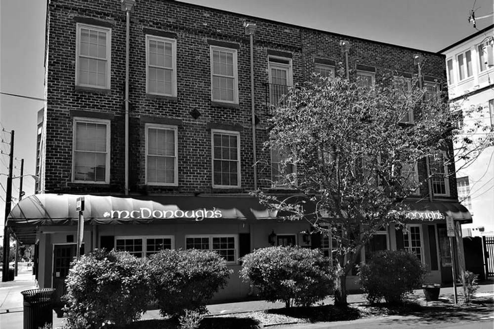 The image shows a black and white photo of a two-story brick building with signage for McDonoughs featuring a covered sidewalk area with outdoor seating and trees in front