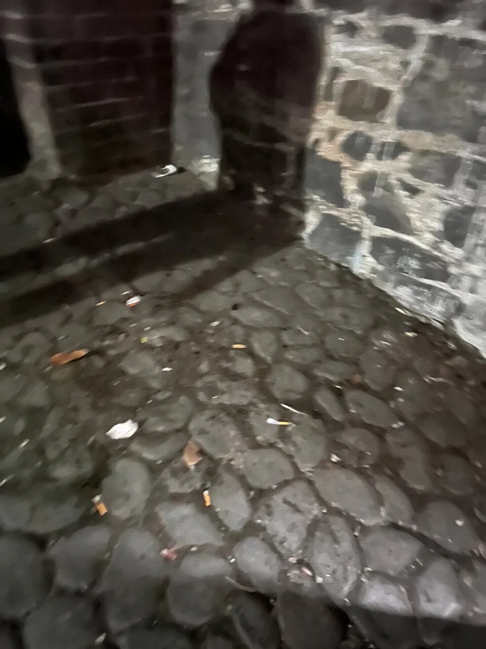 The image is a blurry shot of what appears to be a cobblestone pavement with a shadowy figure and some litter scattered around
