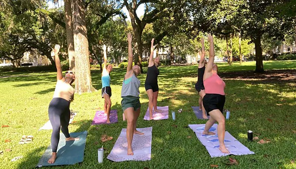 A group of people are practicing yoga on mats in a sunny park surrounded by trees