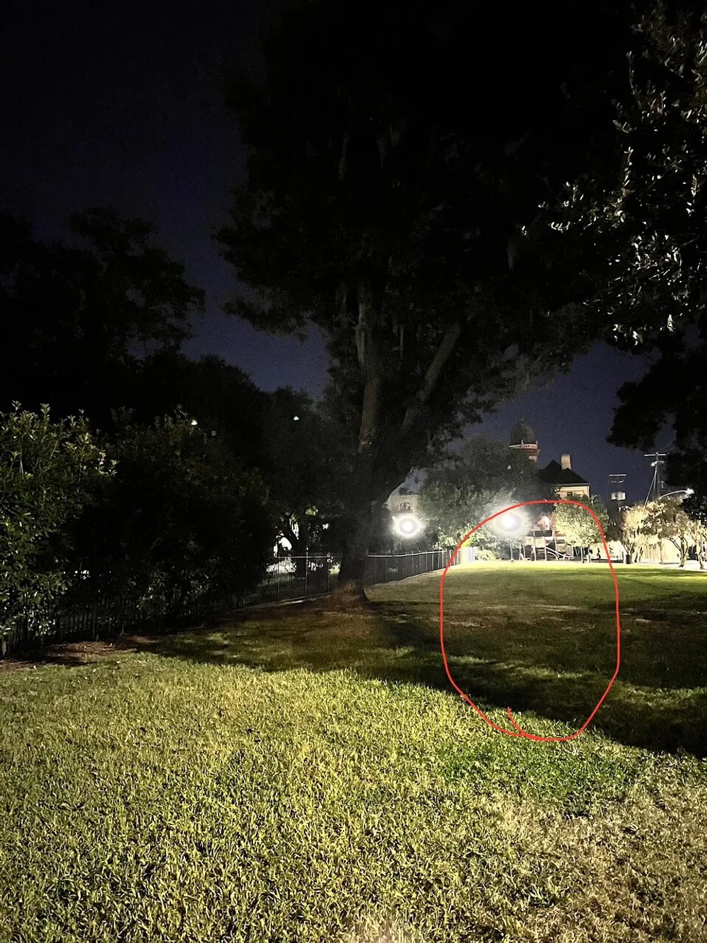 The image shows a nighttime scene of a park with a large tree on the left a grassy area in the foreground and a building with a domed roof in the background with a section of the photo circled in red potentially to highlight something specific within the scene