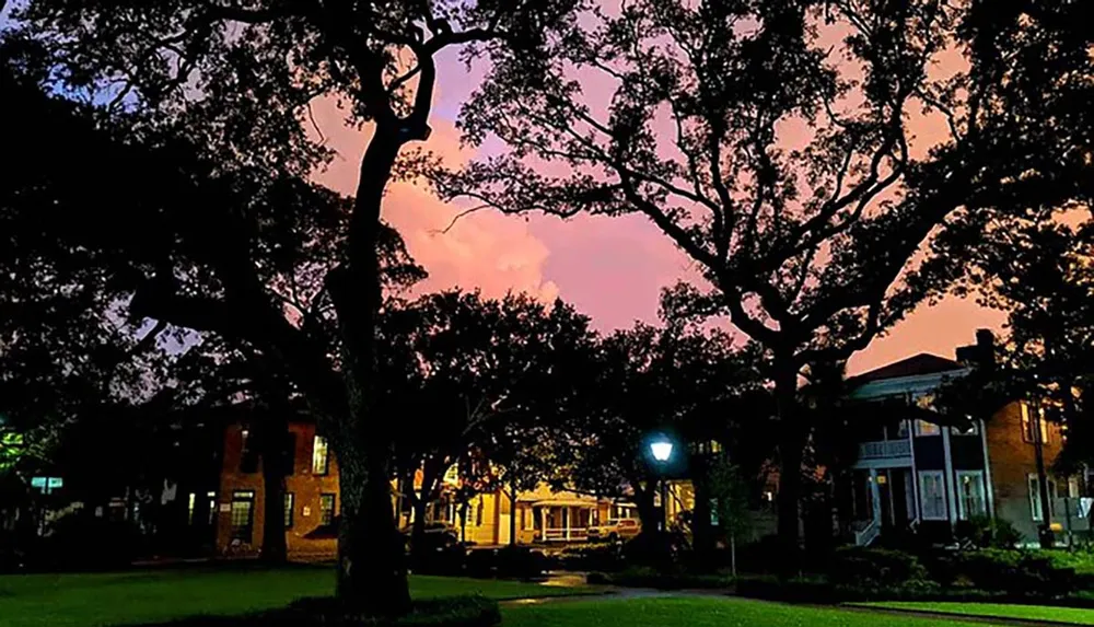 The image shows a tranquil park at dusk with silhouetted trees against a pink-tinged sky complementing the warmly lit houses in the background
