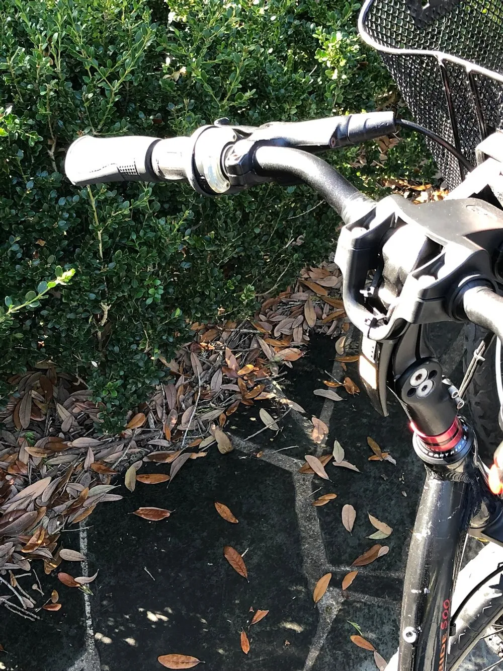 The image shows a close-up view of the handlebar and front section of a bicycle with a basket attached against a backdrop of a hedge and scattered dry leaves on the ground