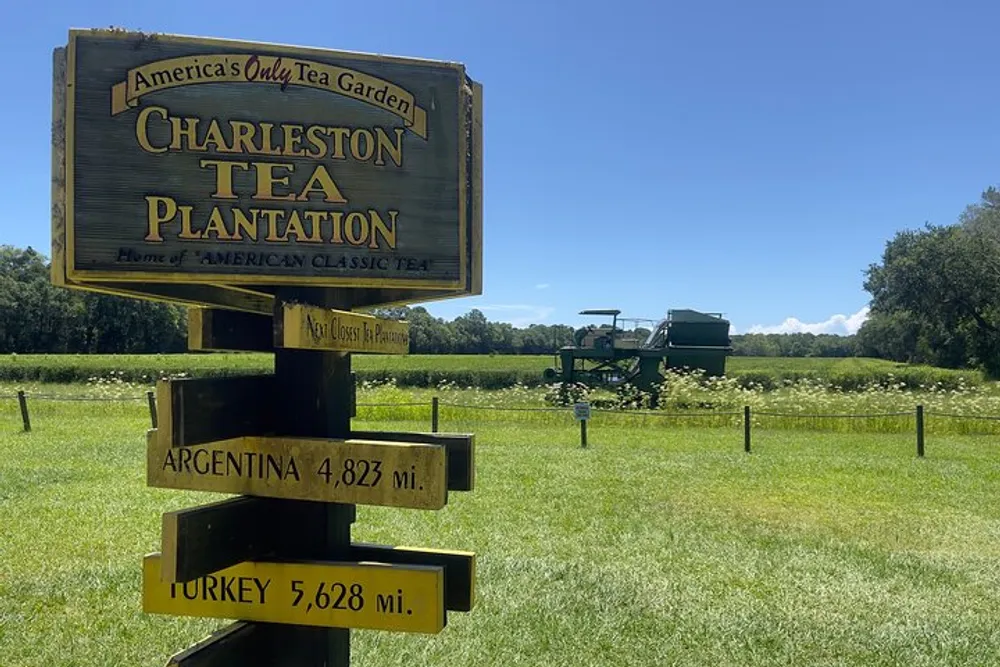 This is an image of a sign for the Charleston Tea Plantation indicating that it is Americas Only Tea Garden with direction signs showing the distance to Argentina and Turkey set against a backdrop of a sunlit tea field and a mechanical harvester