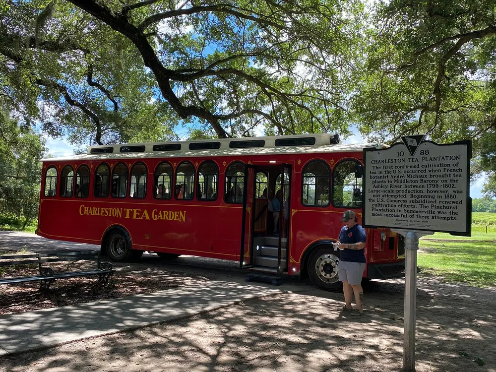A red trolley bus with Charleston Tea Garden written on its side is parked under the shade of large trees while a person stands by the entrance next to an informational sign about the Charleston Tea Plantation
