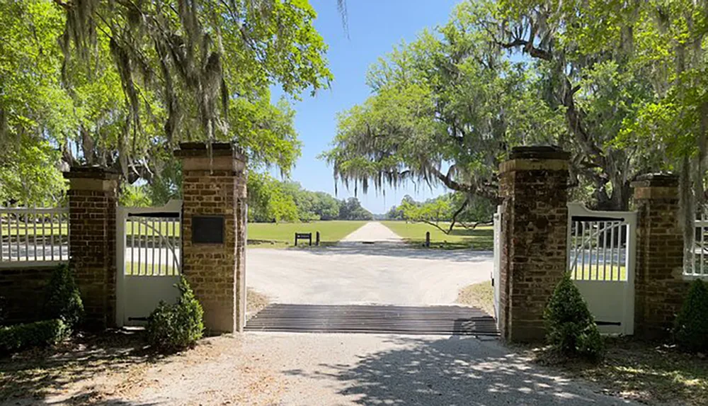 The image shows a tree-lined gravel driveway viewed from an open gate suggesting an entrance to a southern estate adorned with Spanish moss