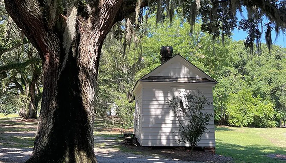 A small white building with a gabled roof is nestled among lush trees draped with Spanish moss in a sunny woodland setting