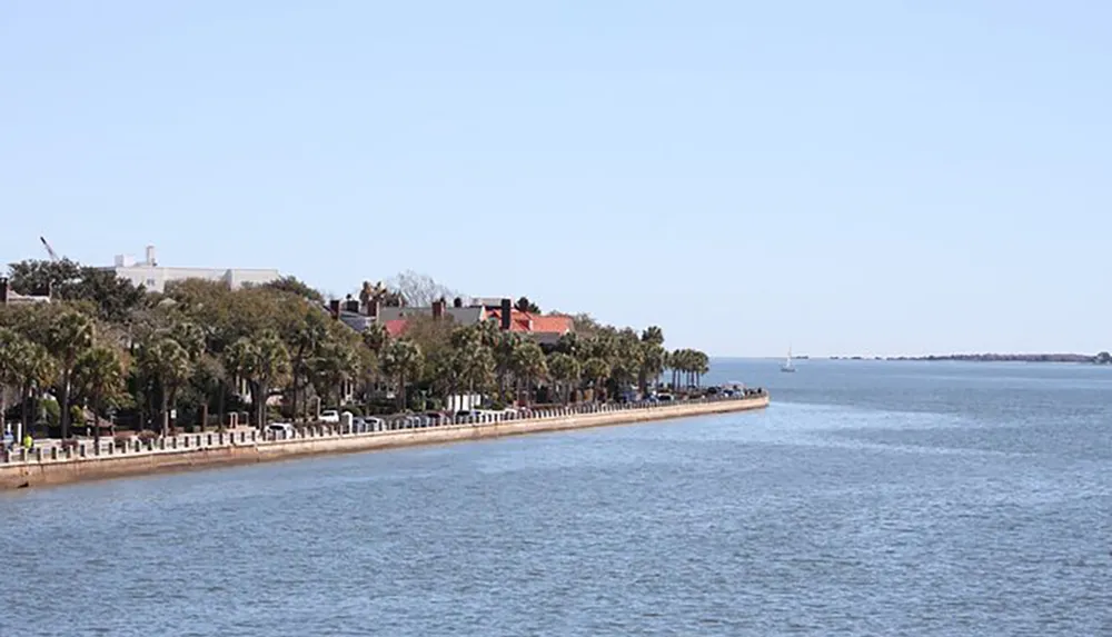 The image shows a waterfront promenade lined with palm trees and benches with historical buildings in the background under a clear blue sky