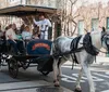 A horse is pulling a carriage full of passengers through an urban street while a guide appears to be narrating or directing