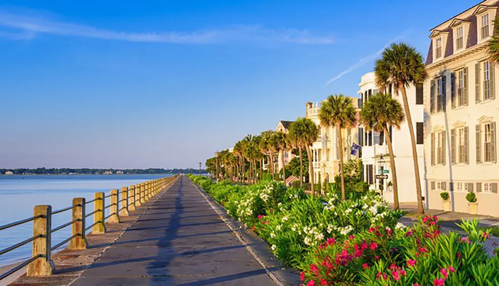 A serene waterfront promenade lined with palm trees and colorful flowers runs alongside a row of elegant houses under a clear blue sky