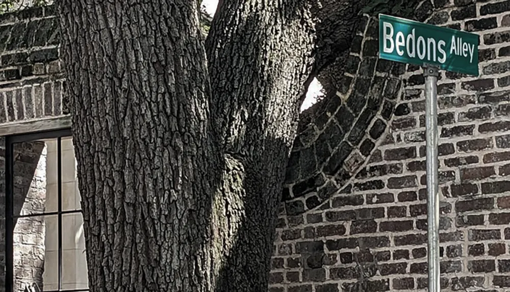 A street sign reading Bedons Alley is mounted on a post beside a large tree with rugged bark against a backdrop of a brick building