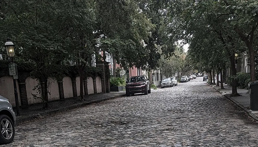 The image shows a peaceful cobblestone street lined with shaded trees and parked cars evoking a sense of quaint urban tranquility