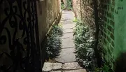 The image shows a narrow, overgrown pathway between old brick and plaster walls, with a glimpse of a wrought iron gate on the left, creating an atmosphere that is both quaint and slightly mysterious.