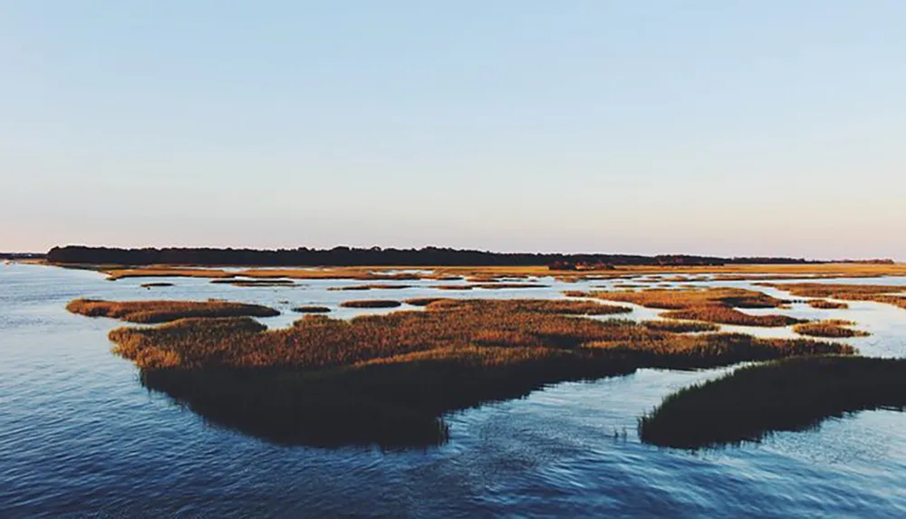 The image depicts a serene coastal wetland with patches of grass poking through calm waters under a soft twilight sky